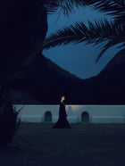 Person standing under a palm tree with a dark blue sky